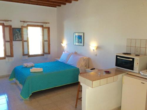 One-Bedroom Apartment image 9