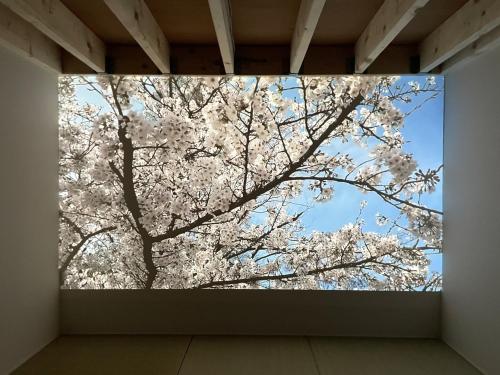 Le Cave Troll ル カーブ トロル