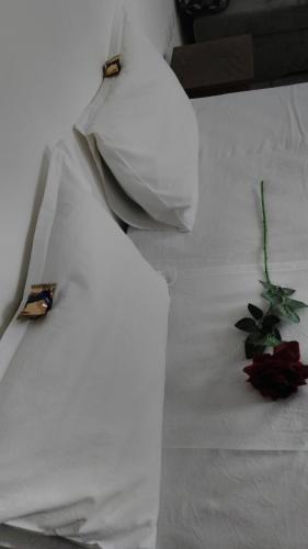 Guest House Rest - main image