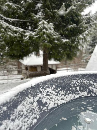 Apkārtne, Vén Fenyő Kunyhó (Ven Fenyo Kunyho) in Čičeu
