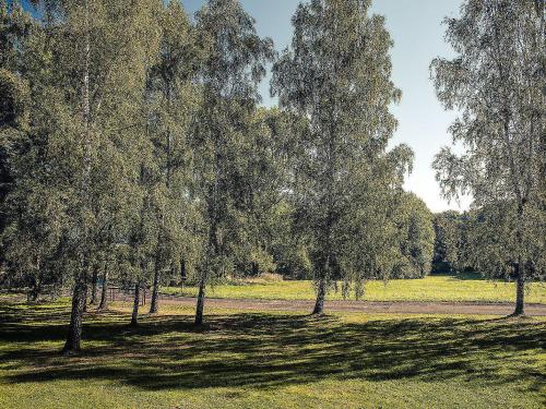 Pension Dymník - image 13