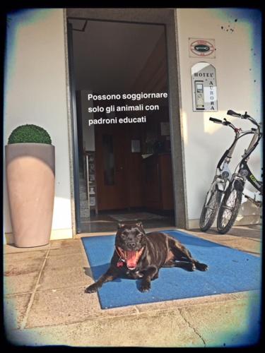 Hotel Aurora in Treviso