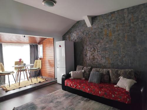 Apartament in regim hotelier – khách sạn tại Steaua - Fratelia