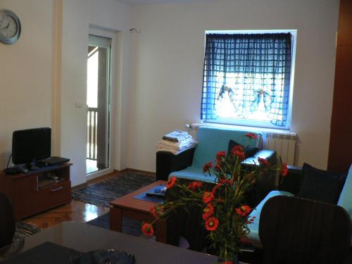 Apartman Sneznik in Kamalj
