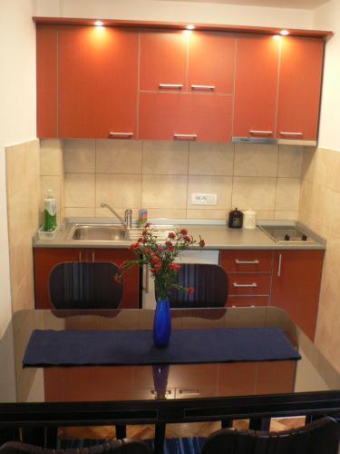 Apartman Sneznik in Kamalj