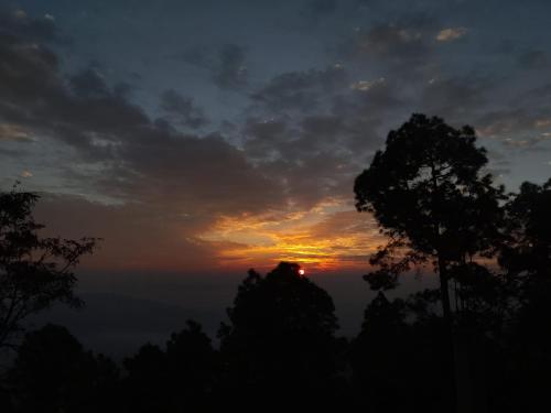 Pahadi aangan in Almora