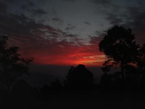 Pahadi aangan in Almora