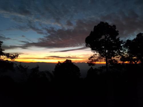 Pahadi aangan in Almora