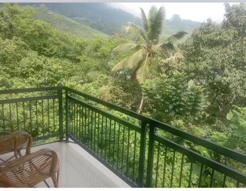 Winter Green Resorts, Munnar 2