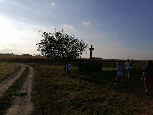 Likaskalacs in Tamási