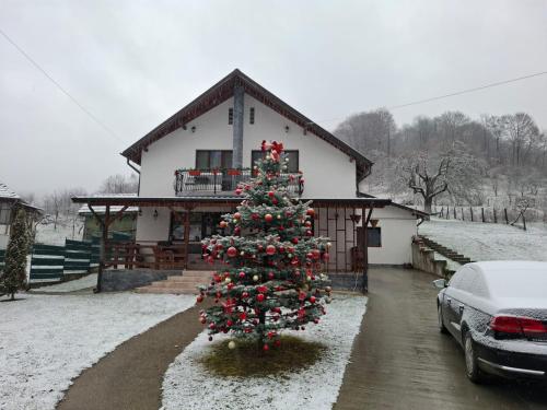. Casa Alex