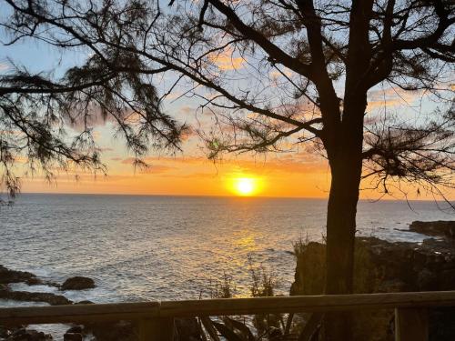 Clapotis et Rossignol - Location saisonnière - Saint-Pierre