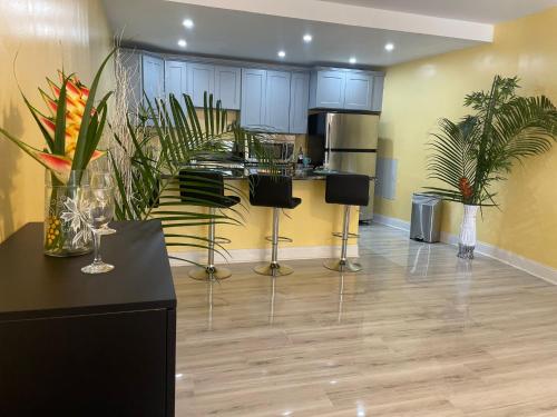 Toraille Waterfall Poolside Apartment in Soufriere