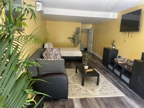 Toraille Waterfall Poolside Apartment in Soufriere