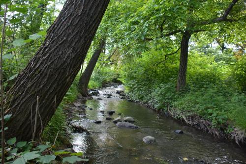 Bogáncs Vendégház - Nagybörzsöny (Bogancs Vendeghaz - Nagyborzsony) in Nagyborzsony