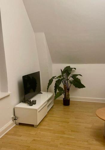 Nature peaceful place in 希勒勒