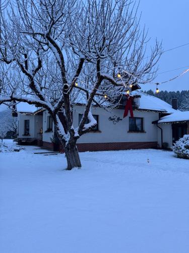 Chalet Bora