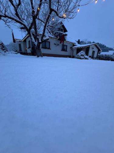 Chalet Bora