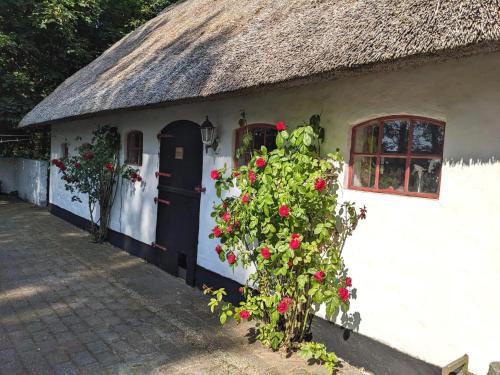 Gemutliches Reetdachhaus mit Kaminofen in Vester Vedsted
