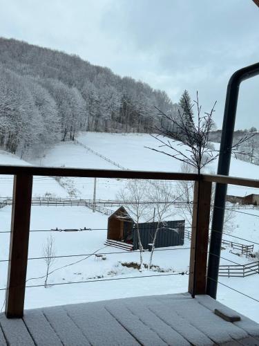 Mini Valley House 1 in Sita Buzăului