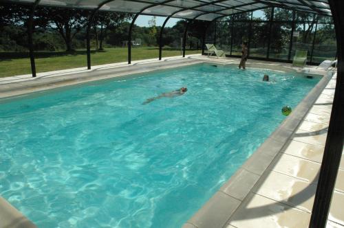 Peldbaseins, Gîte de Ker Huon avec piscine privée, couverte et chauffée (Gite de Ker Huon avec piscine privee, couverte et chauffee) in Runan