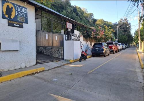 Hostel Tadeo San Juan del Sur - Moyogalpa Hostel Tadeo San Juan del Sur - Moyogalpa