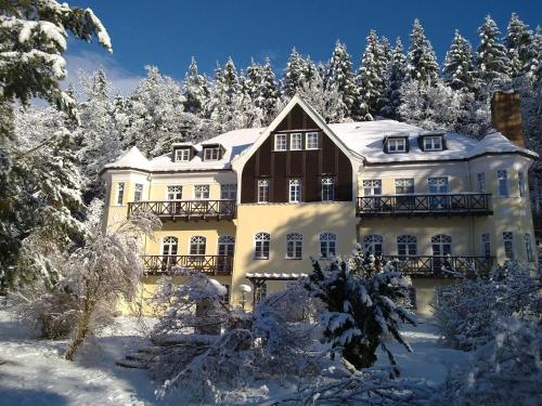 . Villa Wilisch