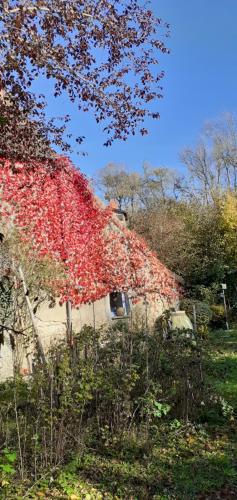 Dārzs, Jolie chambre dans un village calme in Badecon-Le-Pin