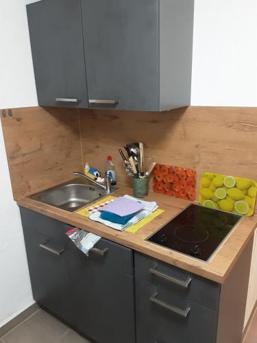 Ferienwohnung zur Hozbachschlucht in Gemunden (Westerwaldkreis)