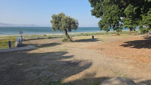 רויאל וואן in Tiberias