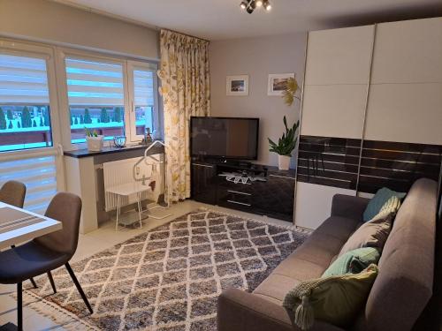 Silver Apartament Kowary - Stara Kamienica