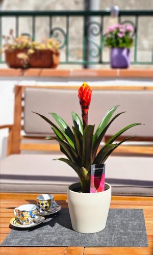 维耶特里苏尔马雷 Casa Seri wifi terrace with view, historic center 4星级 单人房 景观