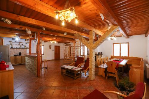 Koplietošanas atpūtas telpa ar TV, Alpine Chalet - Ski & Lake Belis in Belis
