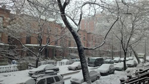 New York City Guesthouse 3 in 할렘