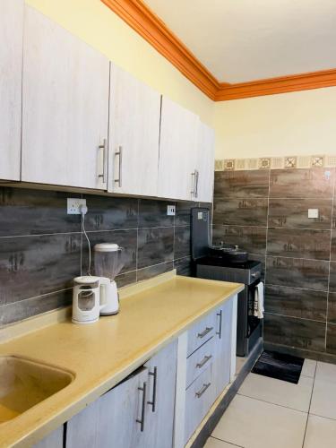 SPACIOUS 2 AND 3 BEDROOM APARTMENTs in 姆特瓦帕