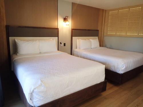 Lamp Liter Inn - main image