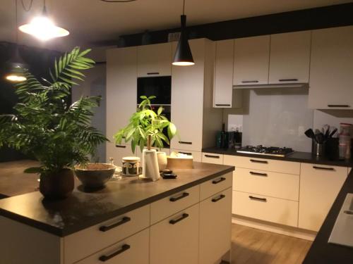 Cosy corner - Boussac-Bourg