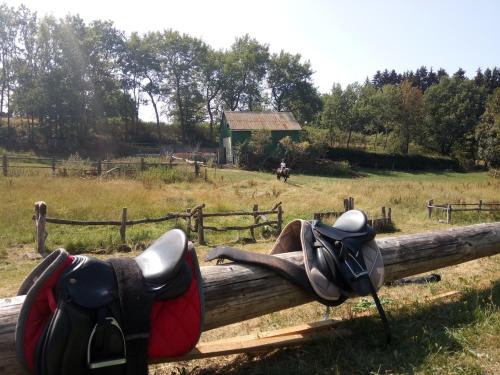 Urlaub im Sauerland Zwischen Wald & Winterberg in Hallenberg