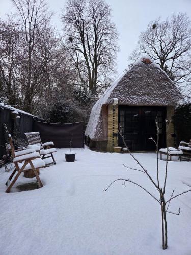 Kleine Buur in Zutphen