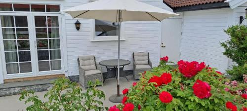 Exterior view, Apartment Tryms vei 20a - Stor Leilighet in Oddemarka