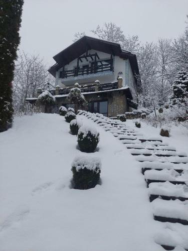 VILA GIGI, ideala pentru relaxare si distractie!