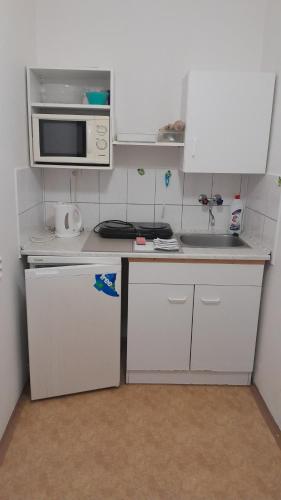 Apartmány SRC (Apartmany SRC) in Nové Město pod Smrkem