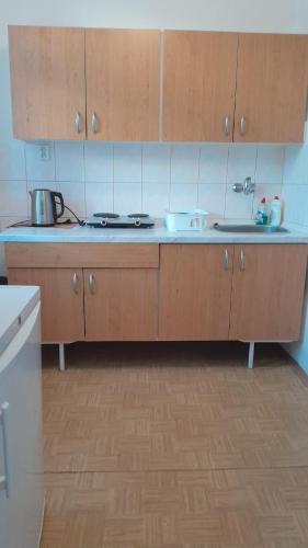 Apartmány SRC (Apartmany SRC) in Nové Město pod Smrkem