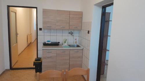 Apartmány SRC (Apartmany SRC) in Nové Město pod Smrkem