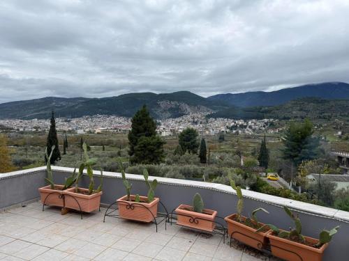 Κτήμα Παππά Ρετιρέ (Κτημα Παππα Ρετιρε) in 리바디아 (보이오티아)