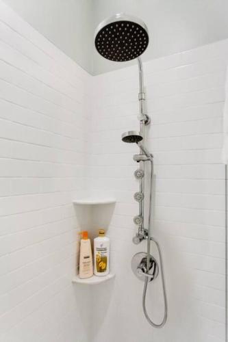 Historic Elegance Modern Amenities Gym - image 5