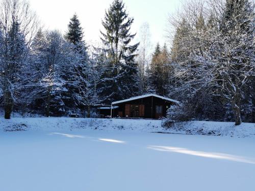 Chalet - gîte avec étang gîte à louer Lachapelle