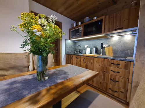 SKALA JASNÁ - Free Jacuzzi & Finnish Sauna obrázok