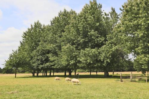 Seadmed, 3 Bed in Barsham oc-bbarn in Barsham