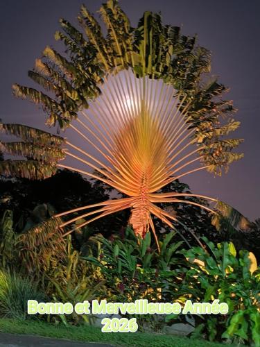 Concept Kreyol - Location saisonnière - Sainte-Rose